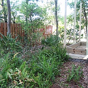 Picture 013